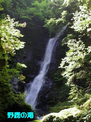 野鹿の滝